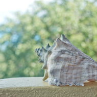 Diamond View