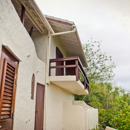 Genip Tree House